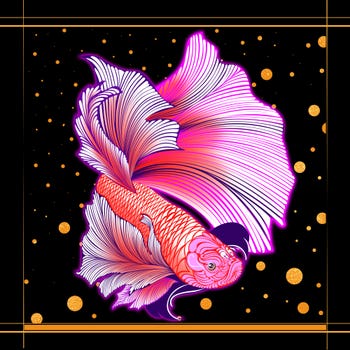 Asianfish 01