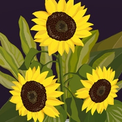 Flourish thumbnail thumbnail