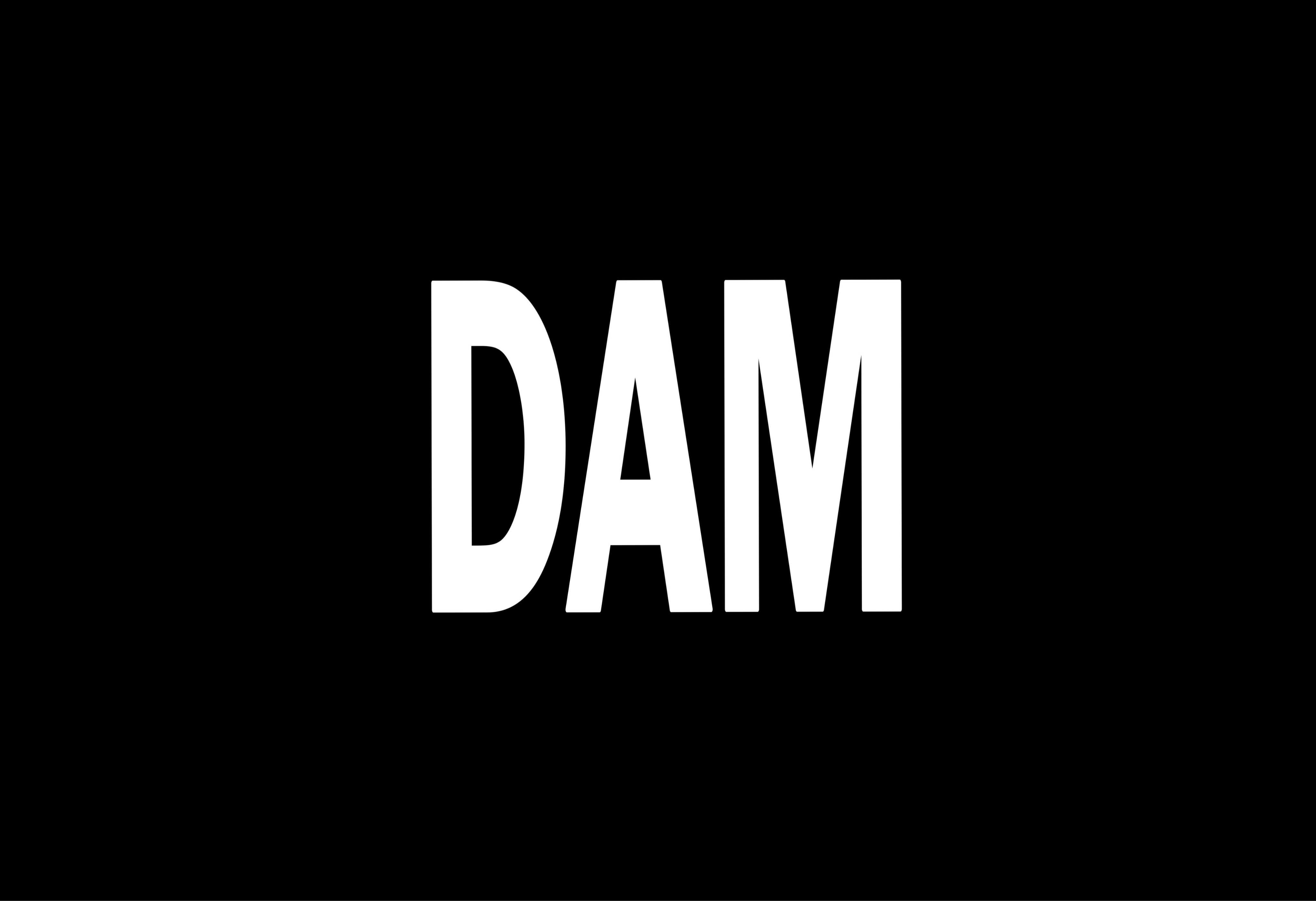 DAM_zine thumbnail thumbnail