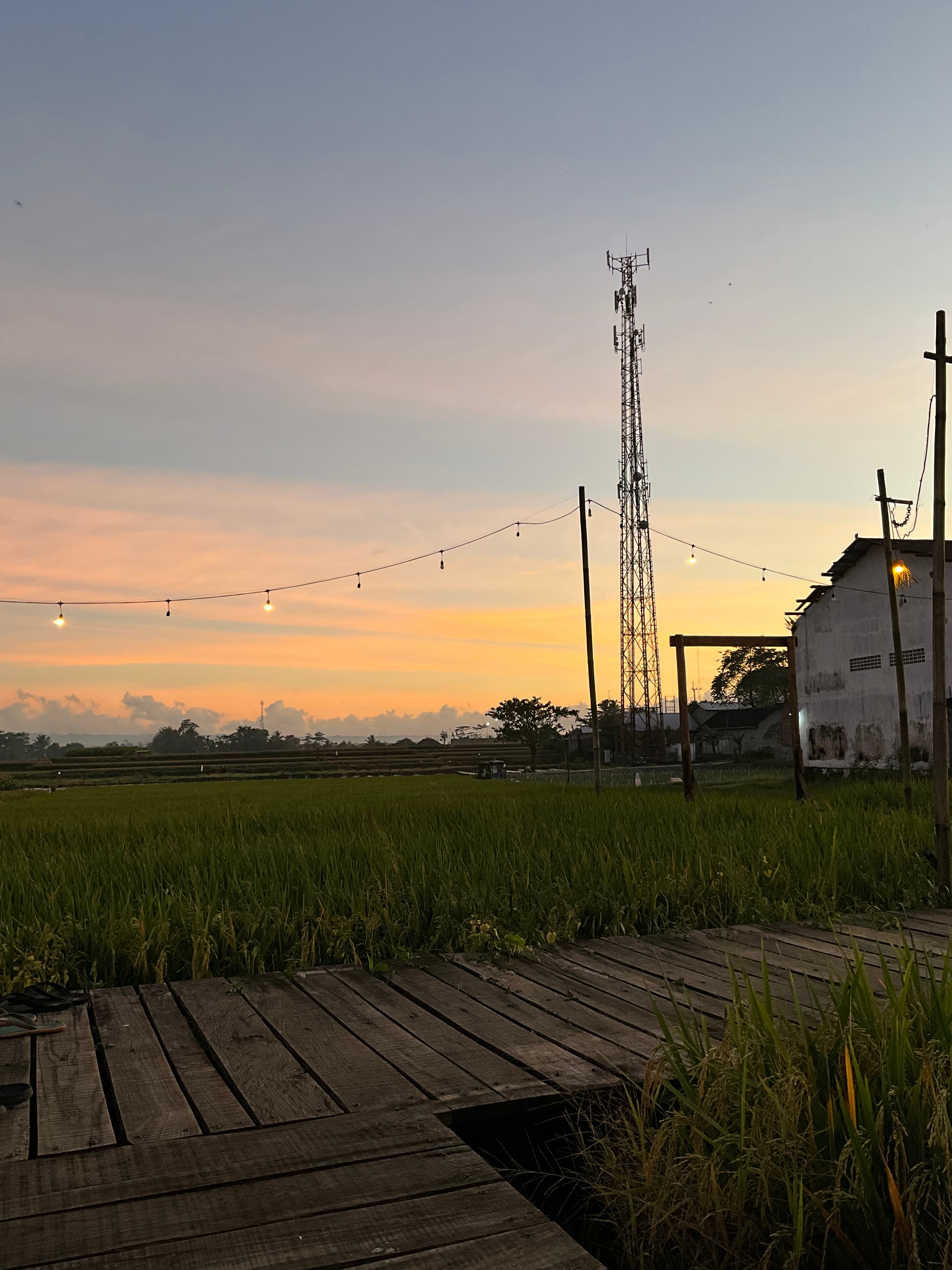 TravelerX banner