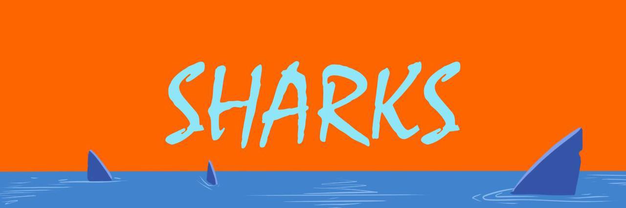 Sharks banner
